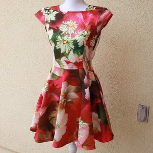 Ted Baker Roziey Rose On Canvas Printed Dress